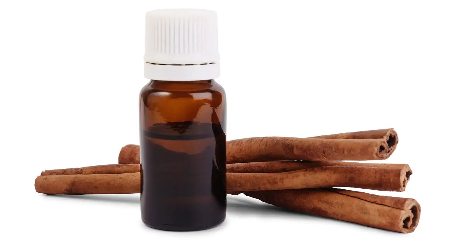 A bottle of Cinnamon Bark Essential Oil surrounded by cinnamon sticks