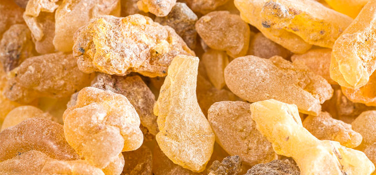 Pieces of aromatic frankincense resin, also known as frankincense tears