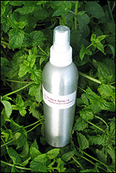 Aromatherapy Ant Repellent