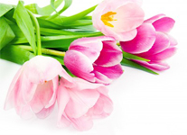 Aromatherapy for Mother's Day