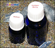 Labeled Essential Oils