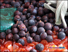 Juniper Berries