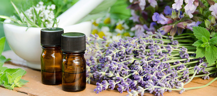 Using Latin Names (Botanical Names) With Essential Oils is Important