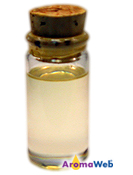 Bottle Depicting the Typical Color of Coriander Essential Oil