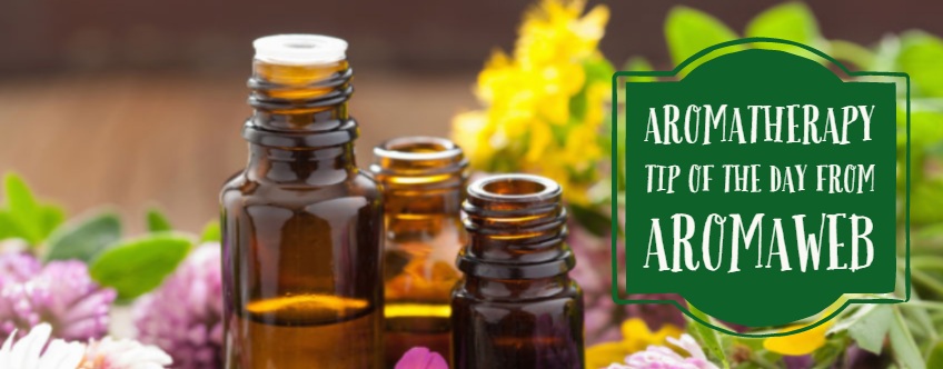 Aromatherapy And Essential Oils Aromaweb