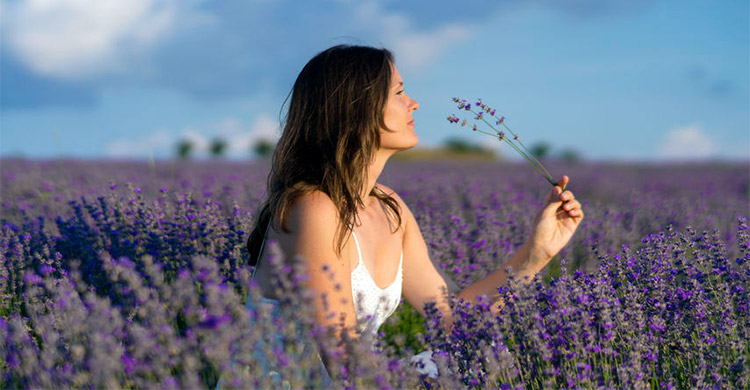 Woman Smelling Lavender, an Essential Oil Bearing Plant