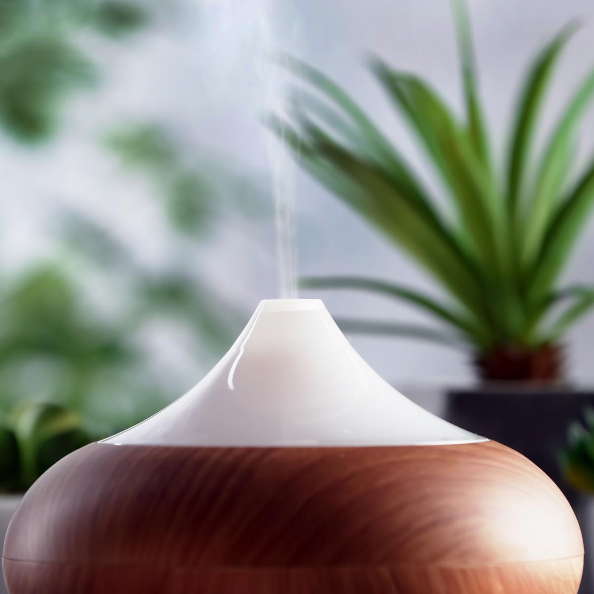 Guide to Essential Oil Diffusers