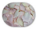 Rose petals