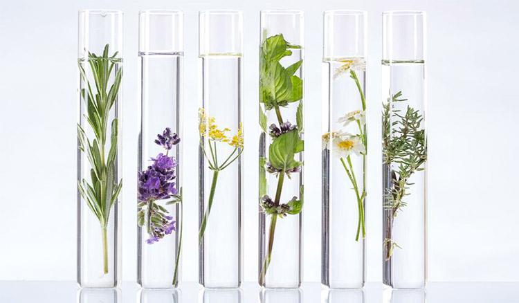 Essential Oil Regulation by the FDA