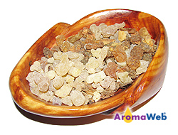 Benzoin Resin and Frankincense Tears