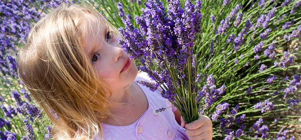 Aromatherapy Recipes for Children