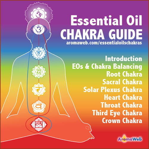 Introduction to the Chakras and Essential Oils | AromaWeb