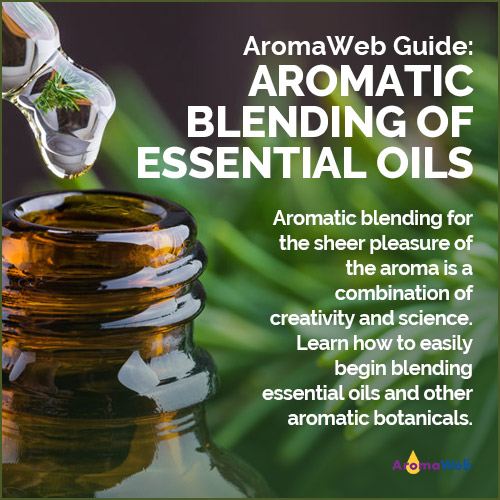 Essential Oil Blending Guide