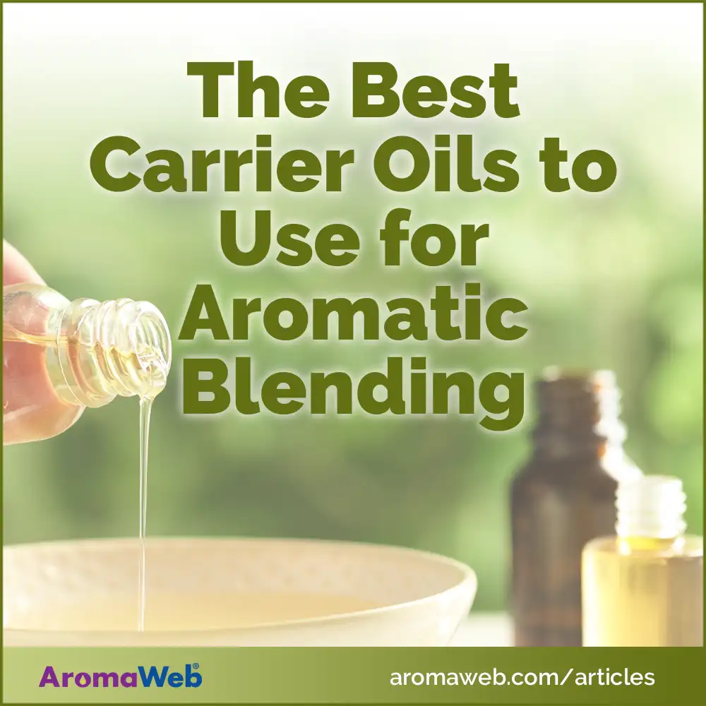 Social Media Image for the Best Carrier Oils to Use for Aromatic Blending
