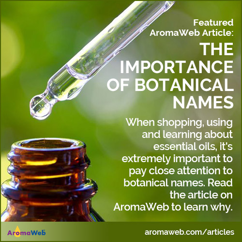 The Importance of Botanical Names for Essential Oils