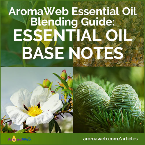 Essential Oil Base Notes