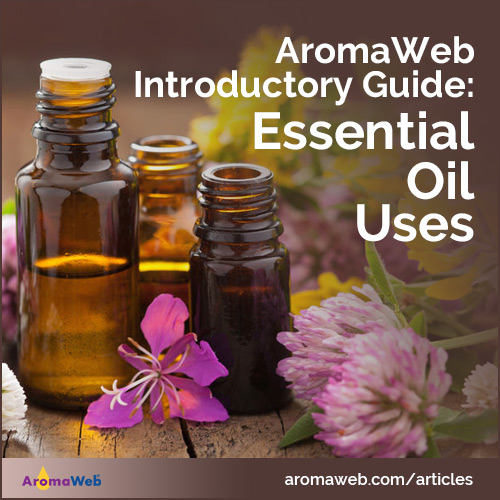 Introduction to Using Essential Oils