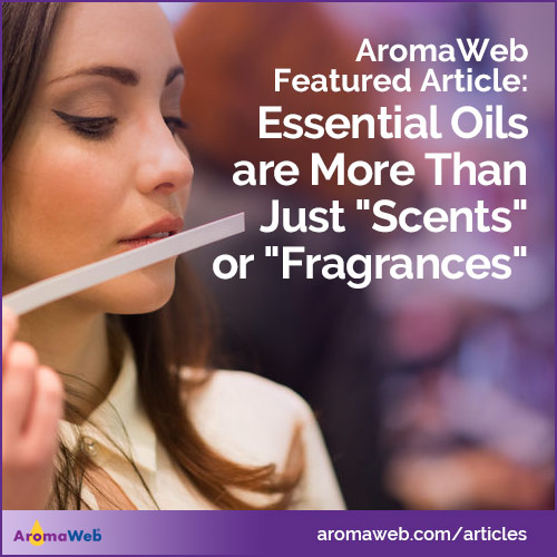 Essential Oils Are More Than Just "Scents" or "Fragrances"