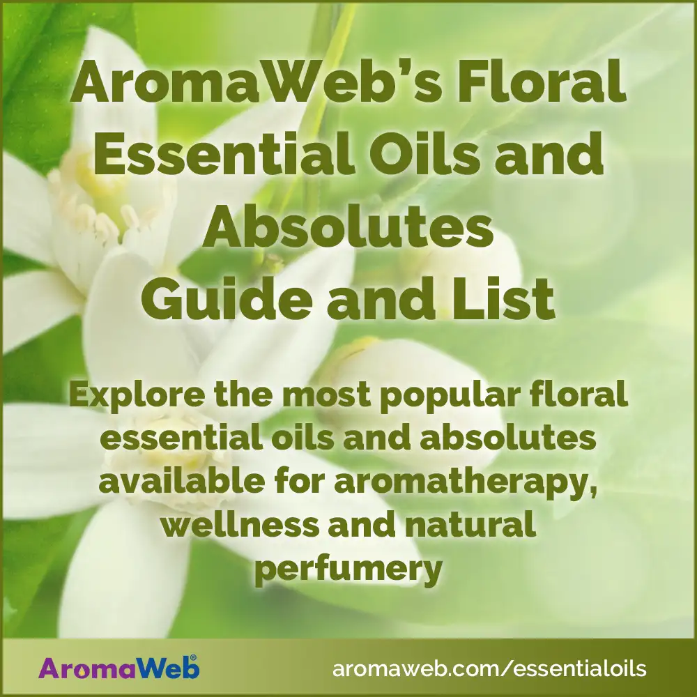 Social Media Image for Guide to Floral Essential Oils and Absolutes