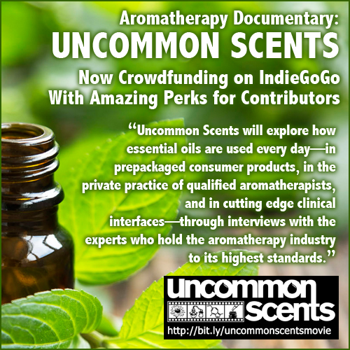 Learn About Uncommon Scents a feature length documentary and supports its crowdfunding efforts