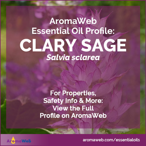 Clary Sage Essential Oil Profile