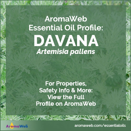 Davana Essential Oil Profile