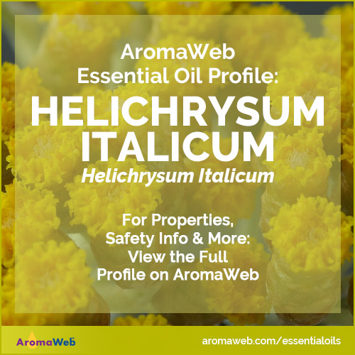 Helichrysum Essential Oil Profile