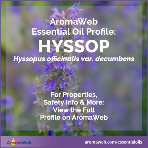 Hyssop Essential Oil Profile