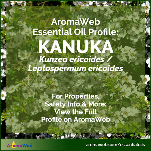 Kanuka Essential Oil Profile