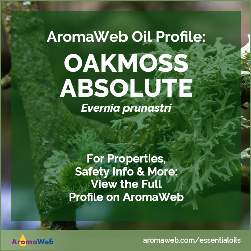 Oakmoss Absolute Profile