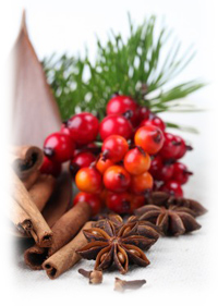 Essential Oils for the Holidays