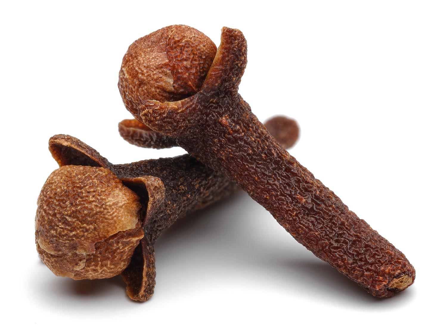 Clove buds used to produce Clove Bud Essential Oil