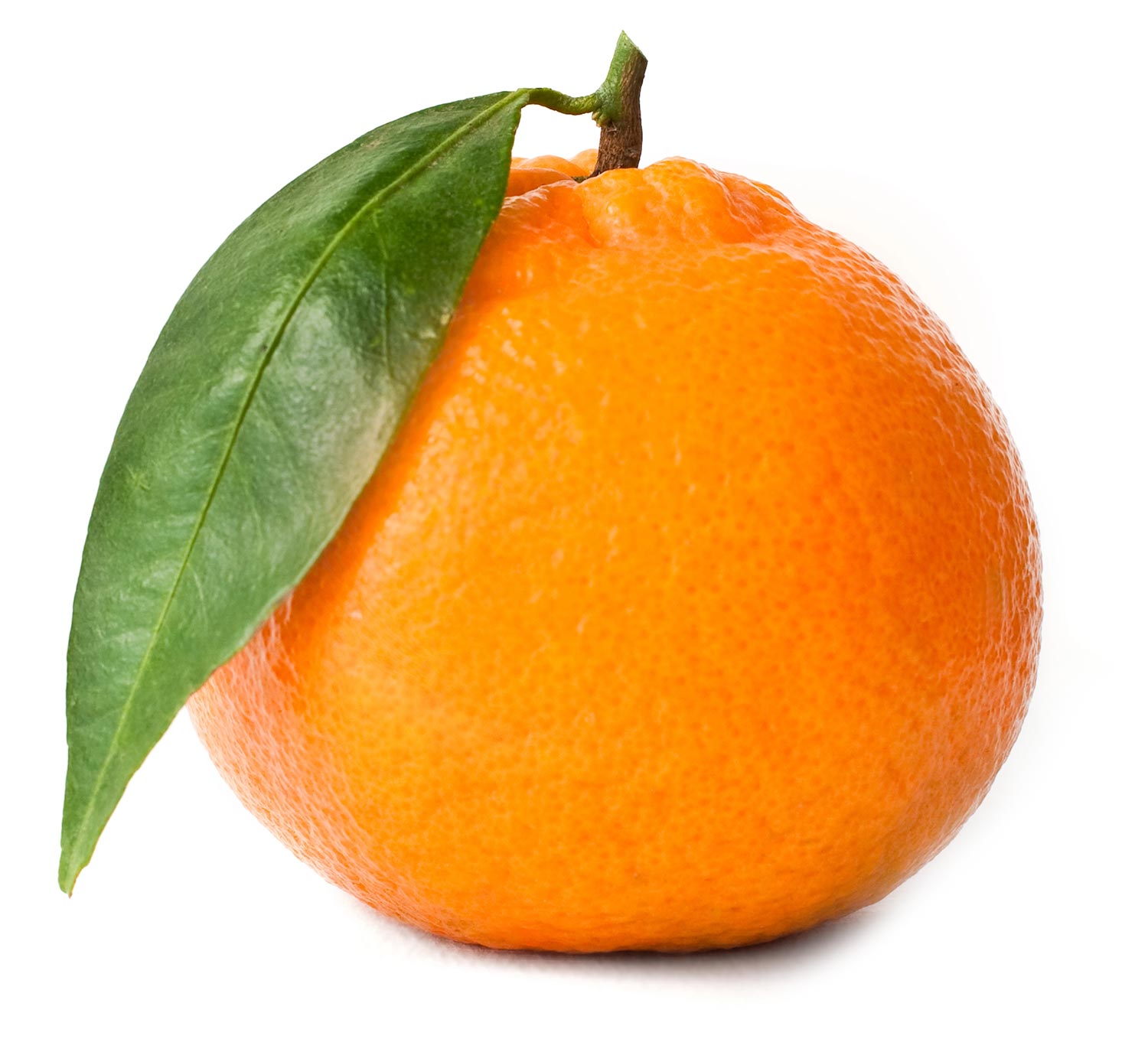 Mandarin Orange used in the production of Mandarin Essential Oil