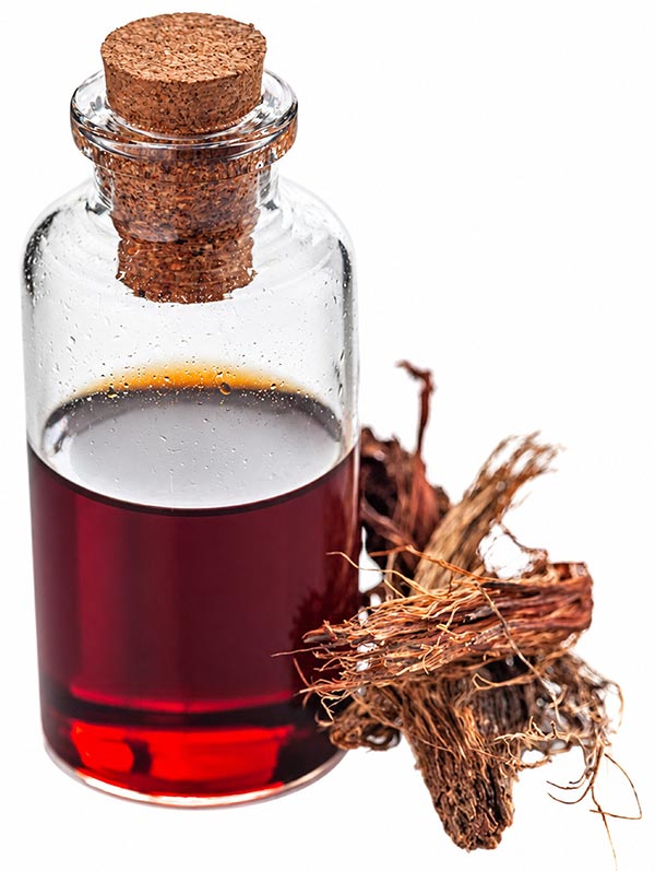 Spikenard Roots