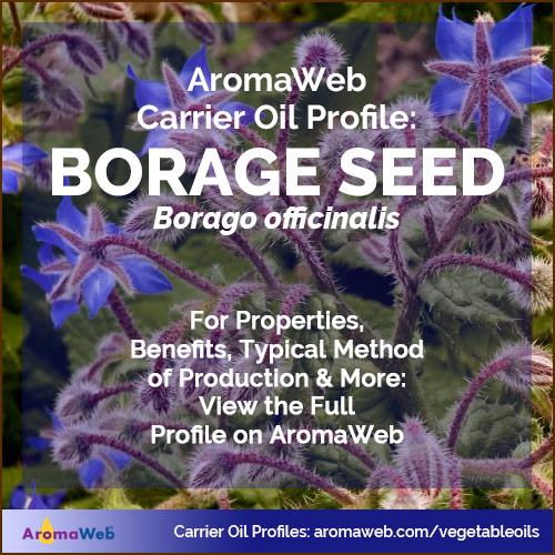 Some Ideas on Borage Seeds And Plants, Herb Gardening At Burpee.com You Need To Know