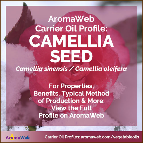Camelllia Seed Oil