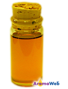 Bottle Depicting the Typical Color of Bay Essential Oil