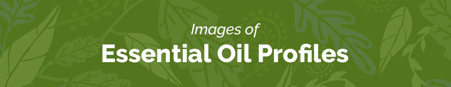 Essential Oil Profile Images