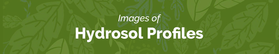 Hydrosol Profile Images