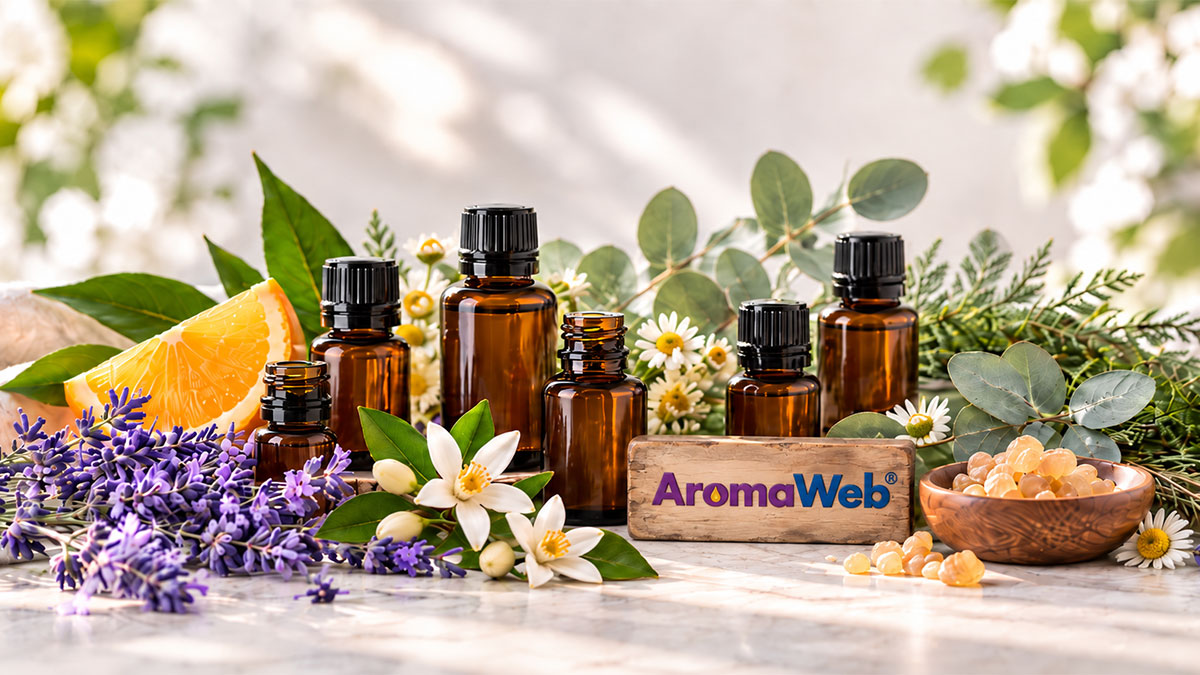 AromaWeb essential oil bottles with lavender, orange blossoms, citrus and aromatic botanicals