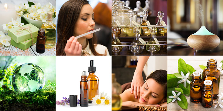 Essential Oils and Aromatherapy Directory