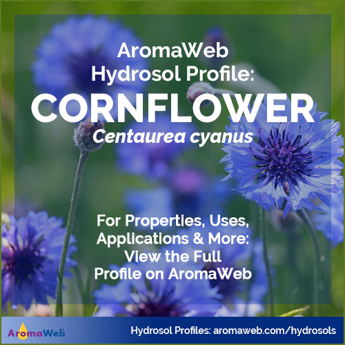 Cornflower Hydrosol
