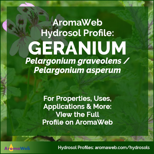 Geranium Hydrosol