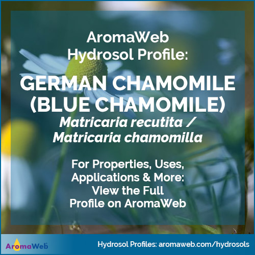 German Chamomile Hydrosol