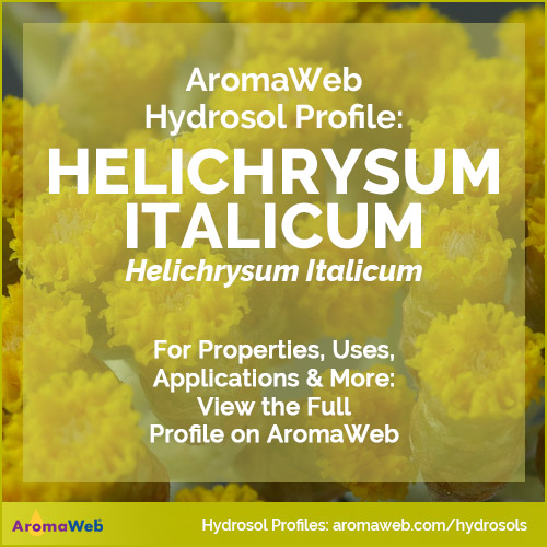 Helichrysum Hydrosol