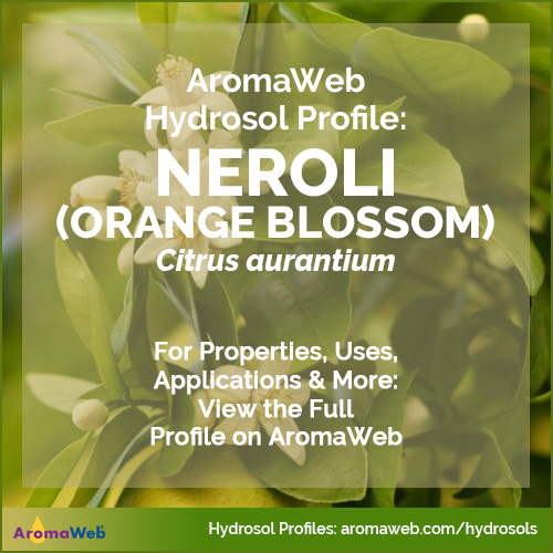 Neroli Hydrosol / Orange Blossom Hydrosol
