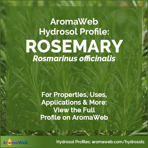 Rosemary Root Hydrosol