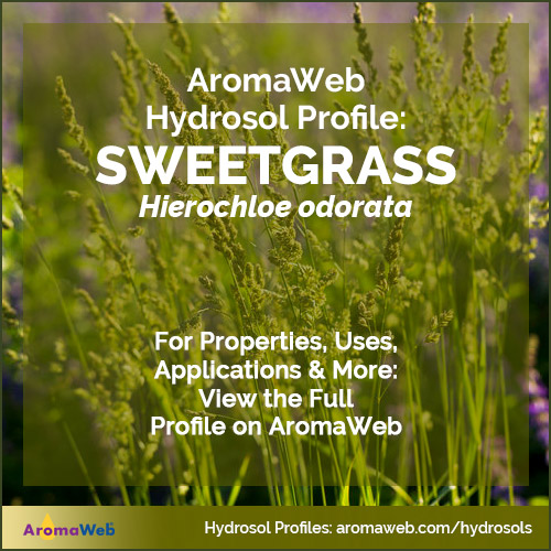Sweetgrass Hydrosol