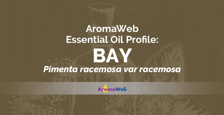 Jamaican Bay Essential Oil - Essential Oil Apothecary