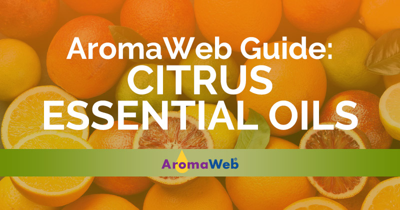 Citrus Essential Oils Guide